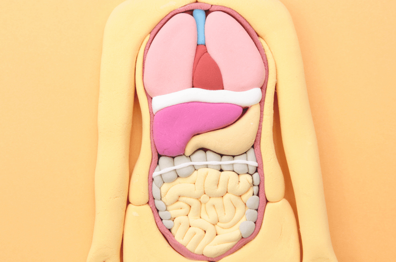 胃腸内科（消化器内科）について